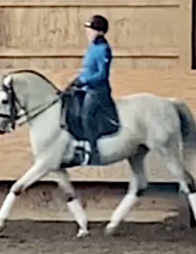 Anne & Embrujo have a Suzannah Monoflap