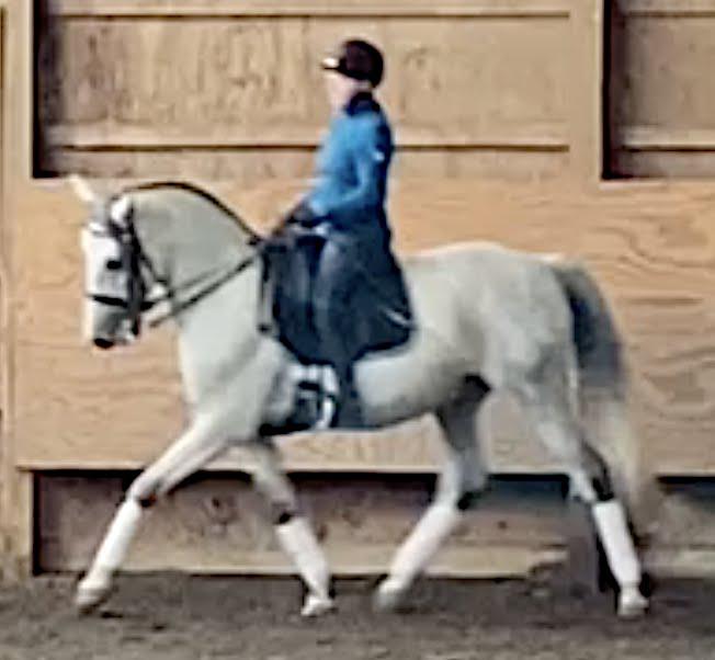 Rosehill Dressage story just posted!