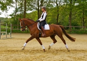 Charlotte moving freely in her new saddle with Lorette in perfect balance.