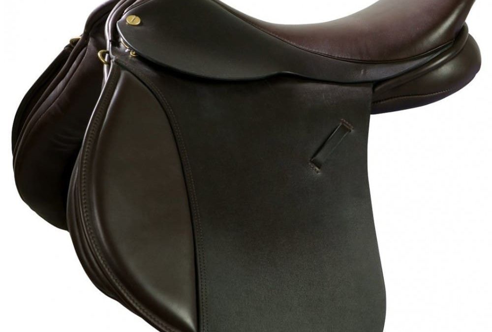 A Breakthrough in Saddle Design for the XXX Wide