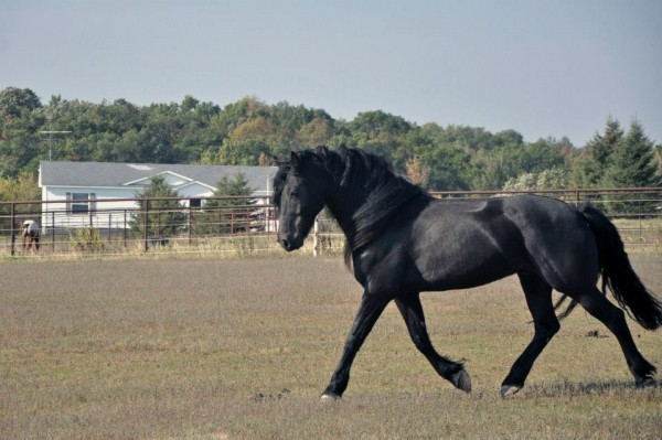 Luther. Isn't he lovely!