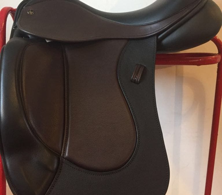The “Amy Saddle”!