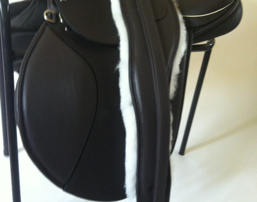 Never a dull moment at Saddles Worldwide!