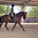A Good Year for Impala Pro, Suzannah Monoflap & Sienna Dressage Saddles….& T&T