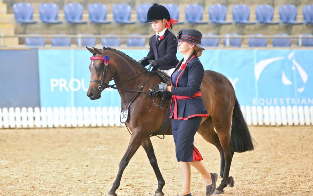 Ramsay show saddle off to The Nationals!